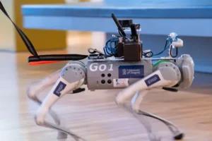 AI-powered robot guide dogs developed for visually impaired