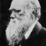 Naturalist and biologist Charles Darwin (PA)