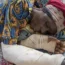 Congo Escalating Violence