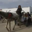Palestinian man with a donkey and cart