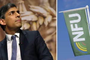 ‘I have your back’: Rishi Sunak praises farmers at NFU conference as he announces new £220m funding