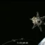 Intuitive Machines’ lunar lander separating from the rocket’s upper stage and heading towards the Moon