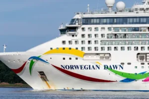 Cruise ship ‘hit with cholera outbreak’: Thousands stuck ‘floating aimlessly’ in quarantine off Africa coast