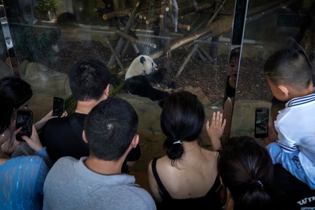 94a5af1a72f24baab9c26532ef6a1587 China Panda