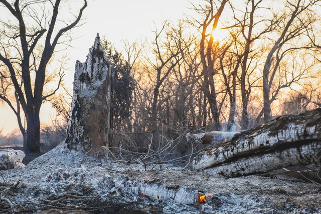 Texas Wildfires