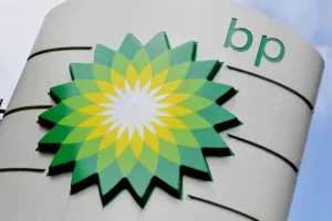 BP’s new boss trims leadership team amid shake-up