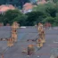 A view of house roofs