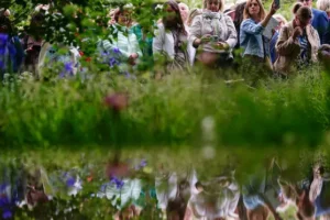 Japanese-style garden wins top prize at Chelsea Flower Show