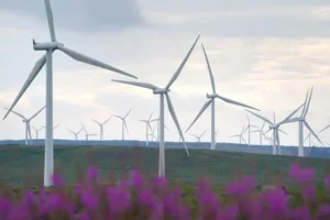 Tories and Labour clash on energy policy as they battle for power
