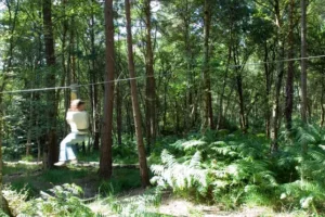 Go Ape founder and former Army captain made an MBE