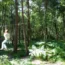 A person on the Go Ape high wire forest adventure course