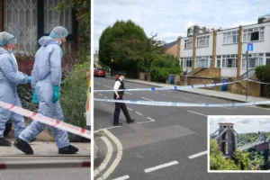 Armed police arrest man, 34, at train station following discovery of human remains in Bristol and west London