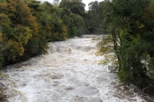 Water firms’ performance on sewage spills ‘unacceptable’, regulator says
