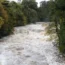 Water companies criticised by regulator in annual report