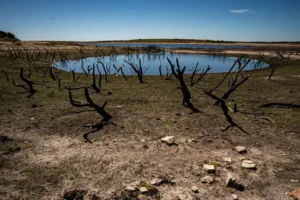 Slight temperature drop makes Tuesday the world’s second-hottest day