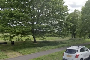 ‘Human organs’ found inside container at park as police launch urgent probe