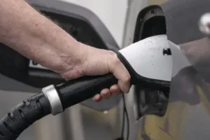 Car makers would struggle to comply with ‘strict’ 2030 ban, industry leader says
