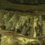 Bottles of Champagne in a 19th century sailing ship wreckage