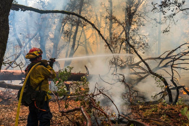 9b245d2f0640405b8db8bb26a2c34fb1 A firefighter sprays water on a fire burning in California