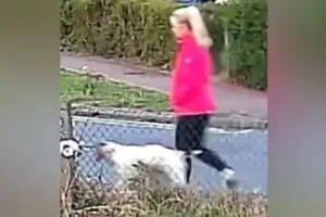 Police cordon off two new areas of interest as part of an investigation into the death of a dog walker in Suffolk