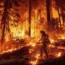 A firefighter uses a drip torch to burn vegetation while trying to stop the Park Fire from near Mill Creek in Tehama County