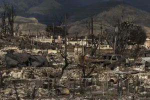 Maui judge bars insurers from going after fire victims after settlement reached