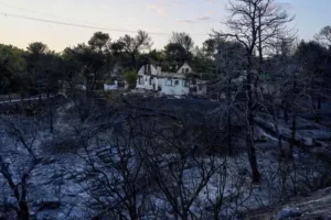 Greece wildfire burned through 40 square miles of land