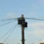 Telegraph pole