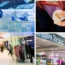 Some loyalty cards are a rip-off, an investigation has claimed