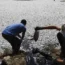 Workers shifting tonnes of dead fish
